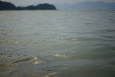 Close-up of water in lake