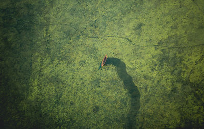 Aerial view of boats moored on sea 