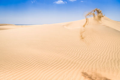 Sand dune in desert against blue sky