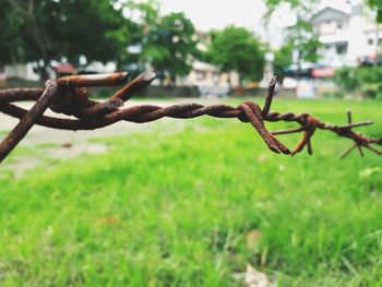 Close-up of barbed wire fence on field