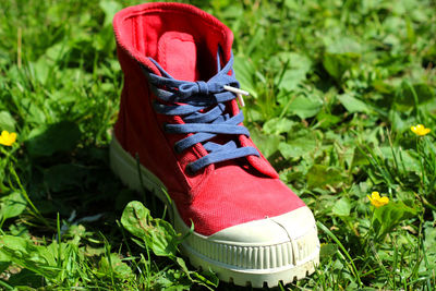 Close-up of shoes on the ground