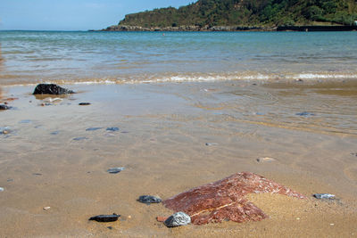 Scenic view of beach