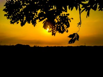 Silhouette of tree against orange sky