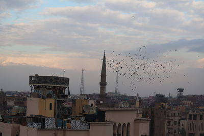 Birds in city against sky