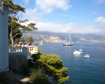 Sailboats sailing in sea against sky