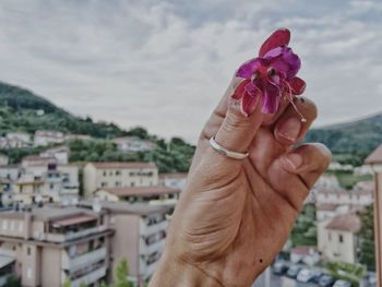 Close-up of hand holding flower against blurred background