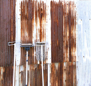 Mops on rusty corrugated iron