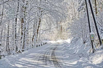 Snow covered road amidst trees during winter