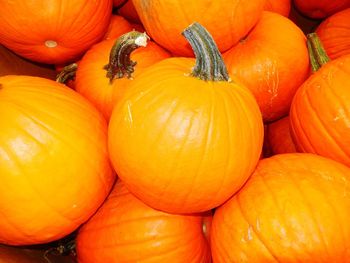 Full frame shot of pumpkins in market