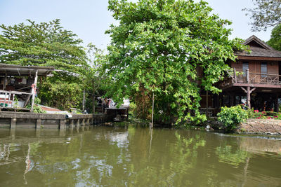 Trees by lake against building