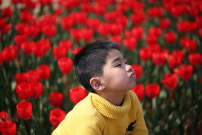 Portrait of boy looking at red flower