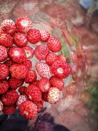 High angle view of strawberries