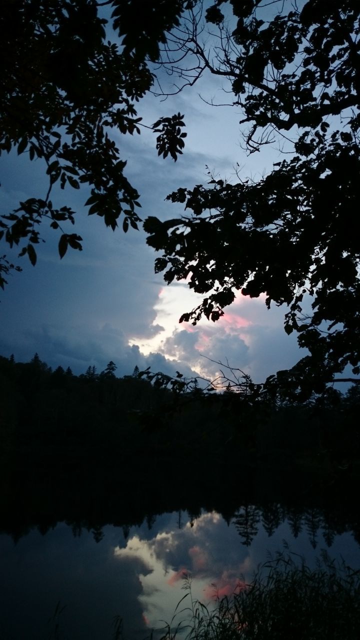 tree, sky, silhouette, tranquility, tranquil scene, scenics, beauty in nature, nature, cloud - sky, branch, reflection, lake, idyllic, low angle view, cloud, water, growth, dusk, no people, outdoors