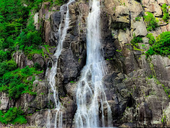 Scenic view of waterfall in forest