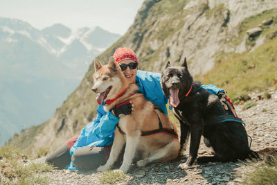 Dogs sitting on rock against mountain range