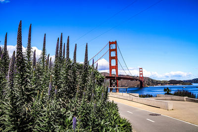 View of suspension bridge against sky