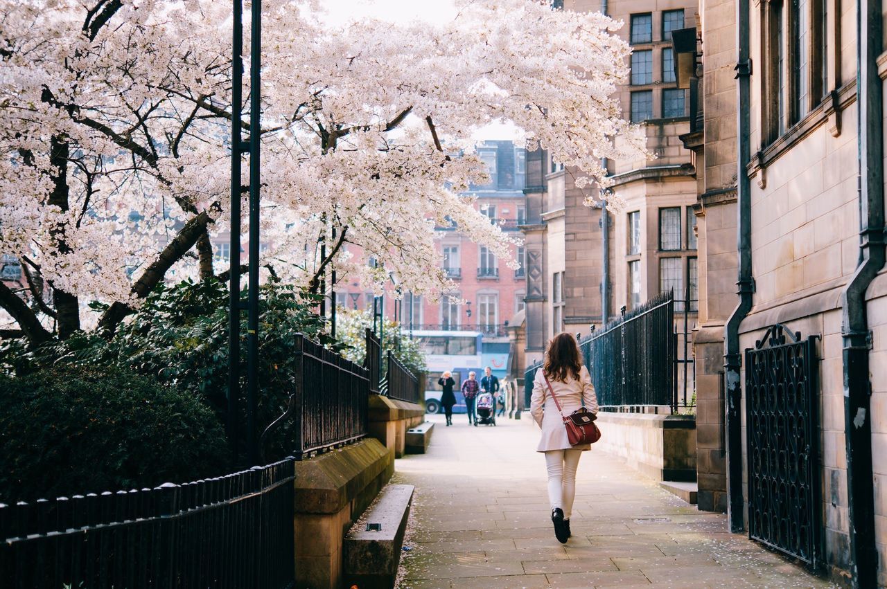 building exterior, architecture, built structure, walking, full length, the way forward, lifestyles, rear view, street, men, city, tree, person, residential structure, residential building, leisure activity, building, city life