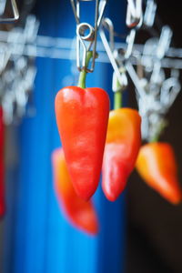 Close-up of orange bell peppers