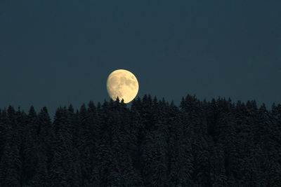 Low angle view of moon at night
