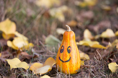 Close-up of yellow pumpkin on field during autumn