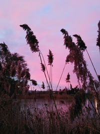 Scenic view of lake against sky at sunset