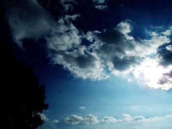 Low angle view of trees against blue sky
