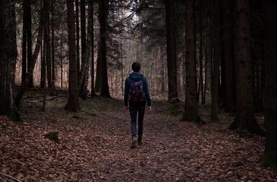 Full length of man in forest