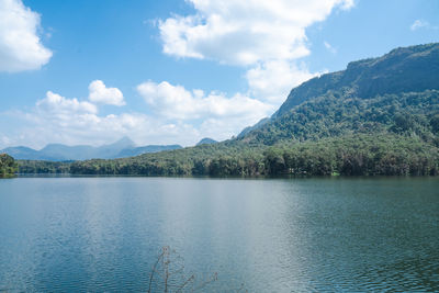 mountain