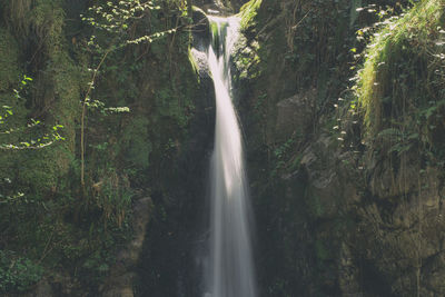 A waterfall in the forest