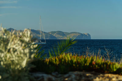 Sailboat in sea against clear sky