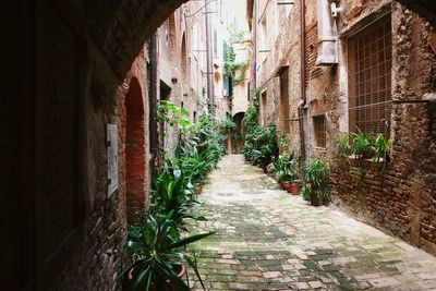 Narrow alley in narrow alley