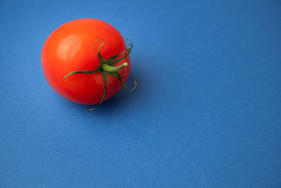 High angle view of red tomato over blue background