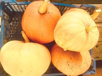 Close-up of pumpkins for sale