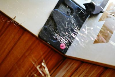 High angle view of spider web on hardwood floor