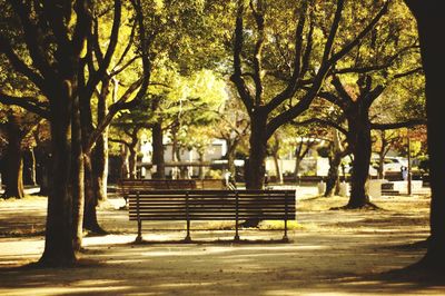 Empty bench in park