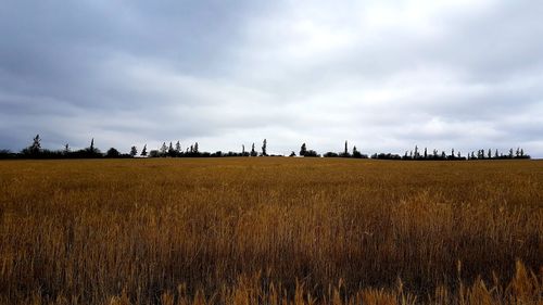 Panoramic view of field against sky