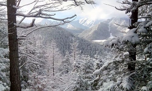 Snow covered landscape with mountain range in background