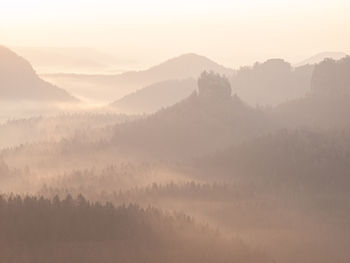 Landscape of natural wild nature in warm morning sunlight. perfect nature at dawn. sunlight 