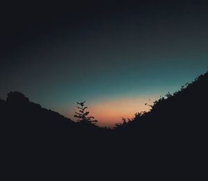 Low angle view of silhouette trees against sky at sunset