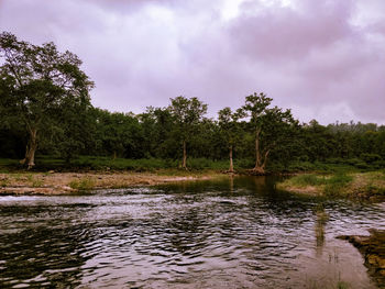 Scenic view of river by trees in forest against sky