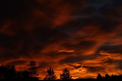 High section of silhouette trees against dramatic sky