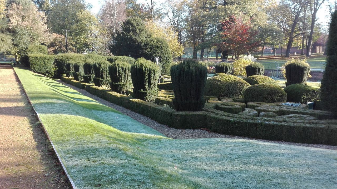 SCENIC VIEW OF TREES BY GRASS