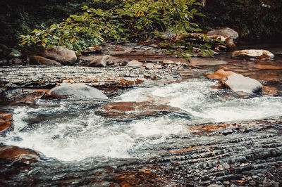 View of waterfall in forest