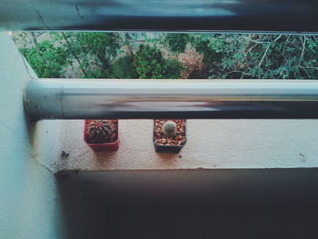 High angle view of potted plants on window sill