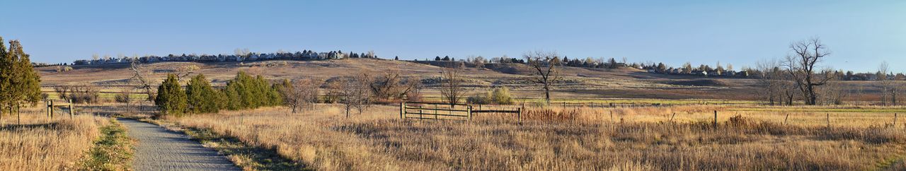 Scenic view of field against clear sky