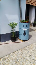 Potted plant against building