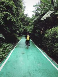 Rear view of man riding bicycle on road