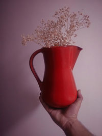 Close-up of hand holding drink against red background