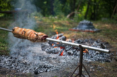 Pork meat baked on a spit