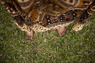 Low section of person lying on field